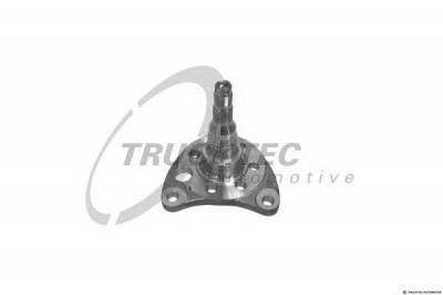 TRUCKTEC AUTOMOTIVE 0732025 -  Поворотный кулак, подвеска колеса